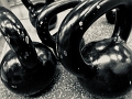 PBI_Day1-FreeWeights (8)